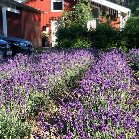 Vila Schoenes Haus Mit 3 Schlafzimmern - Bis Zu 6 Personen Haigerloch