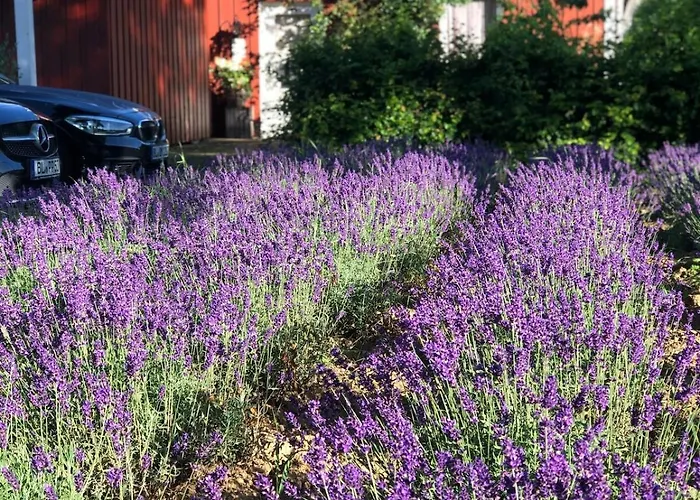 Villa Schoenes Haus Mit 3 Schlafzimmern - Bis Zu 6 Personen Haigerloch